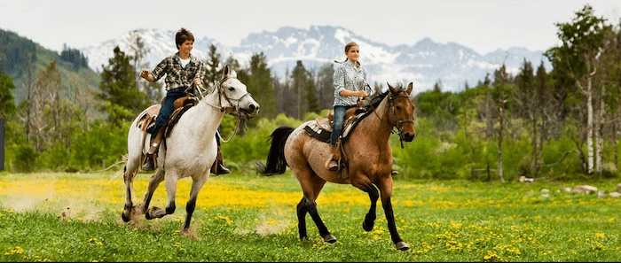 Confident plus-size woman riding Craigmillar a horse through a field with a smile on her face.